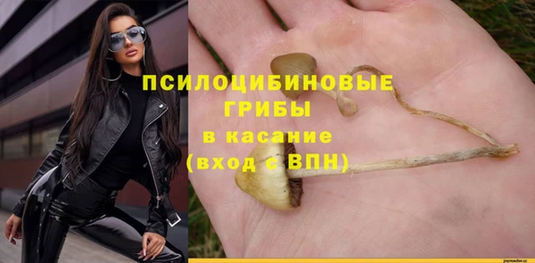 a pvp Абдулино
