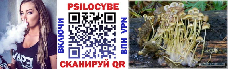Псилоцибиновые грибы Psilocybine cubensis Омск